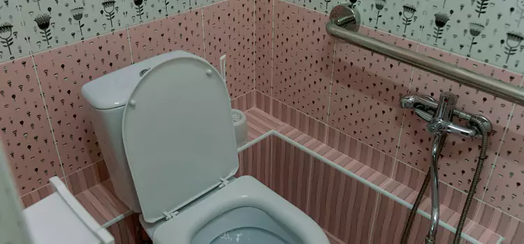 Meeting Diverse Needs With Accessible Restroom Solutions in Richmond, KY